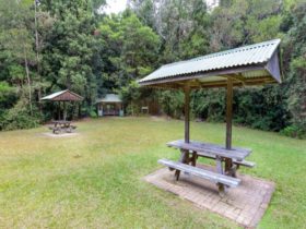 Picnic shelters at Coachwood picnic area in Washpool National Park. Photo: Rob Cleary © OEH