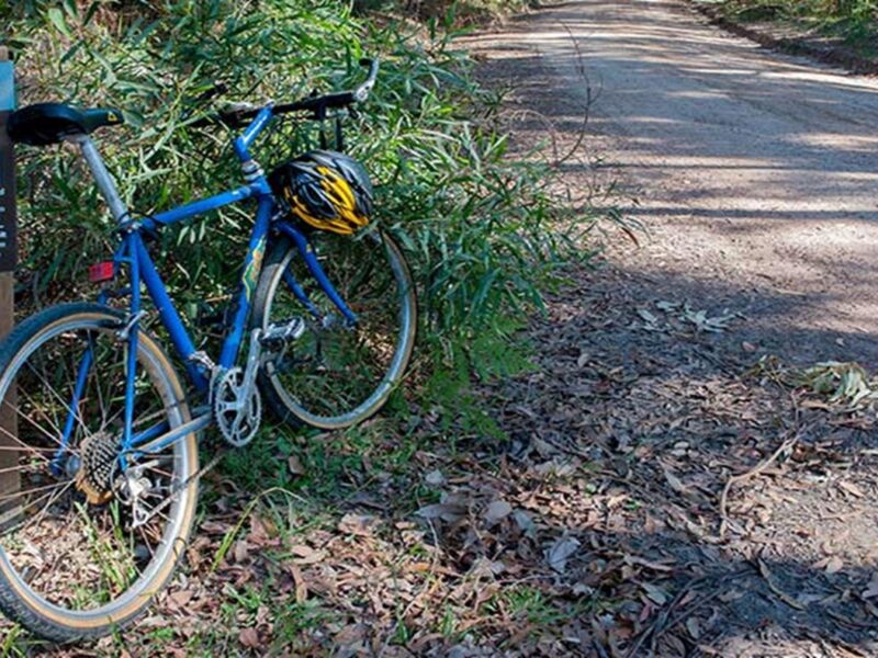 A bike rests against a sign beside a trail in Conjola National Park. Photo: Michael Van Ewijk ©
