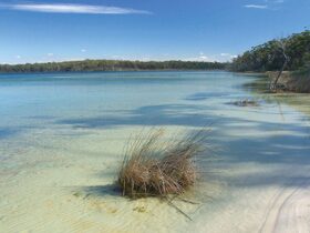 Clear water at Swan Lake, Conjola National Park. Photo: Michael Van Ewijk © DPIE