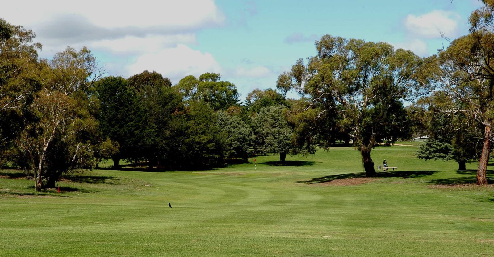 Cooma Golf