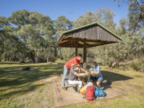 A family planning their day out at Dandahra picnic area in Gibraltar Range National Park. Photo: