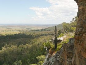 Deriah Aboriginal Area. Photo: Dirk Richards/NSW Government