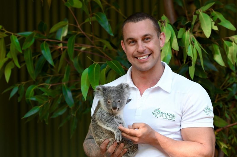 Zookeeper Chad Staples with Bungarribee "Gabbie" the koala joey