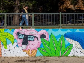Flynns Beach Mural koala