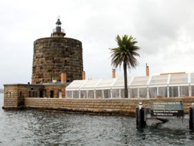 Fort Denison – Muddawahnyuh, Sydney Harbour National Park. Photo credit: John Yurasek © DPIE