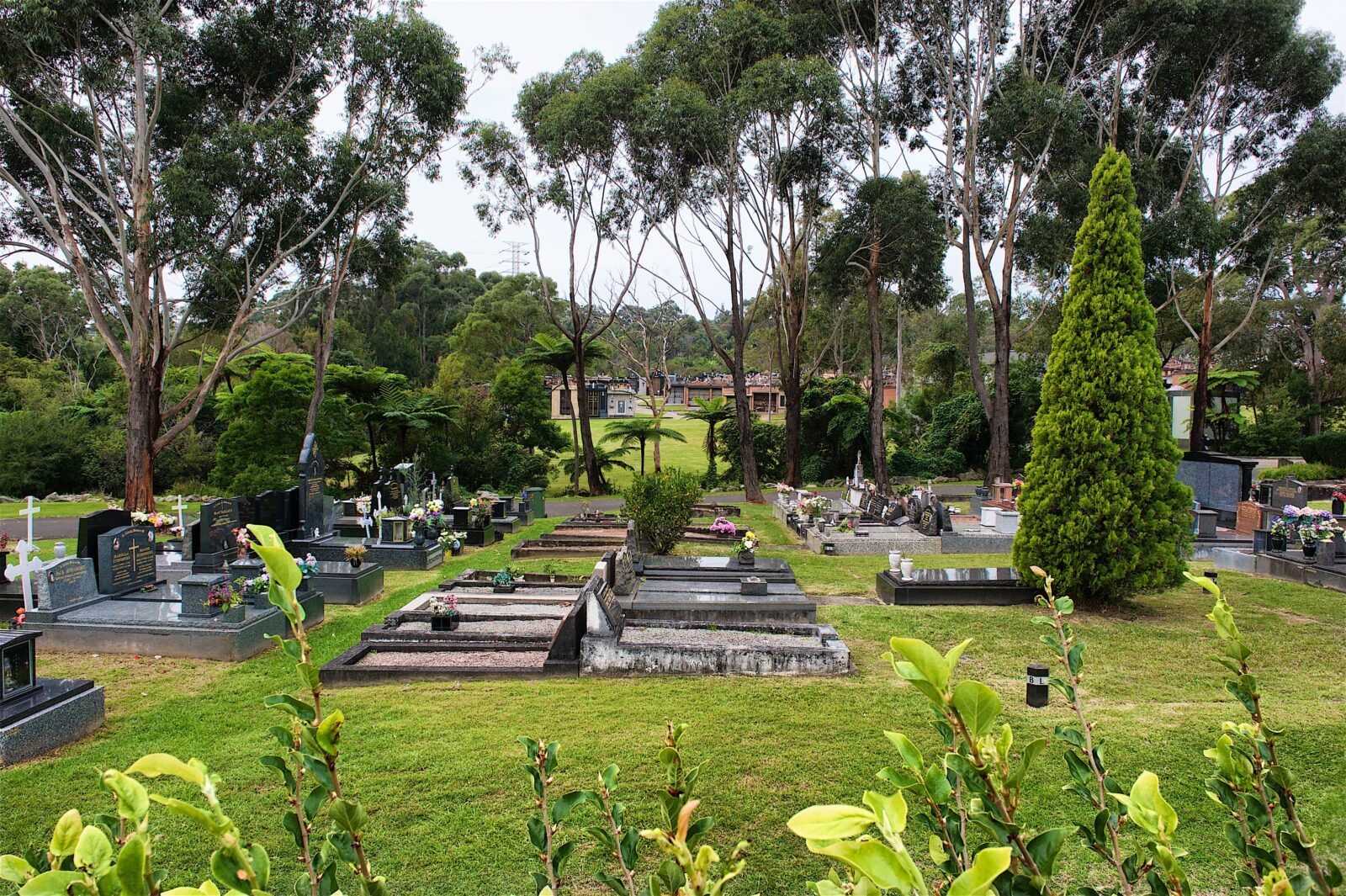cemetery with graves surrounded by trees