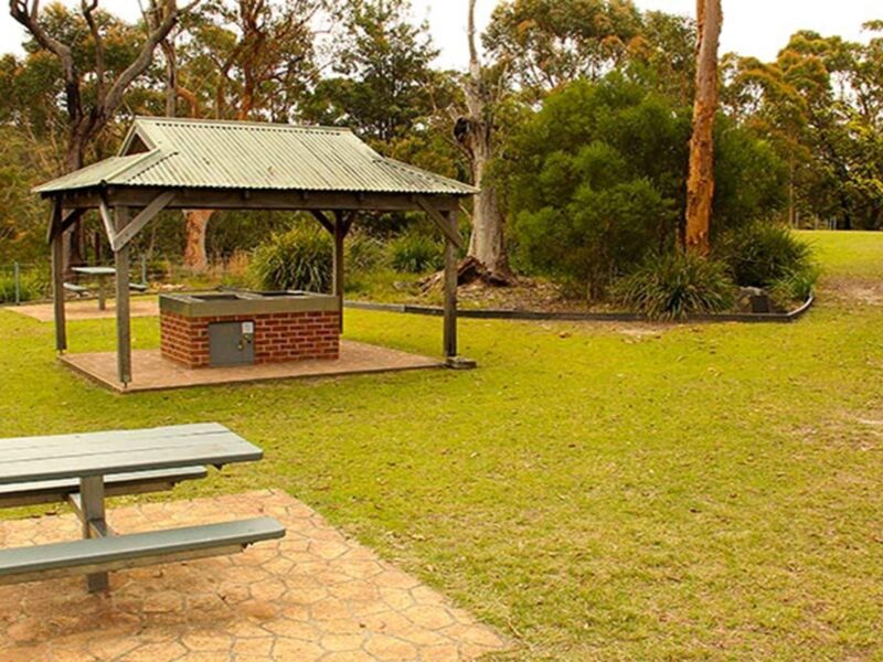 Girrakool picnic area, Brisbane Water National Park. Photo: John Yurasek © OEH