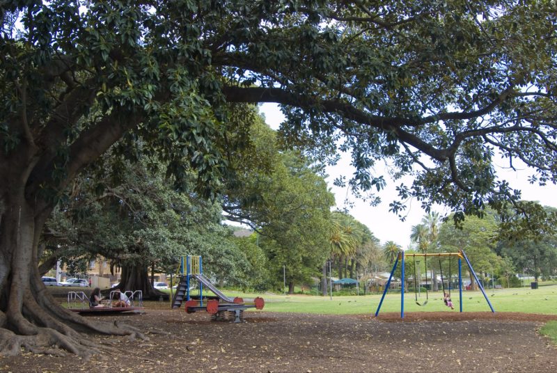 Playground at Bicentennial Park in Glebe