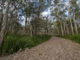 Googik Heritage walking track, Lake Innes Nature Reserve. Photo: John Spencer