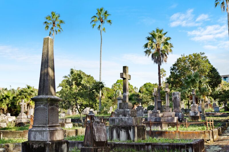 historic graves with monuments and trees in the background