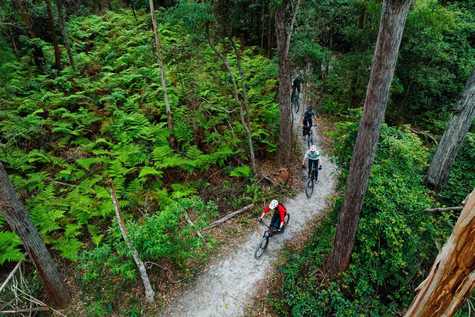 Gravity Eden Mountain Bike Park, Sapphire Coast NSW, mountain biking, MTB, cycling, South Coast