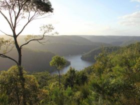 Great North walk - Berowra Valley National Park