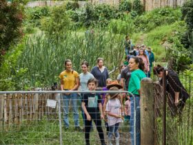 A group of people on a farm tour walk down a garden path to farm gate led by tour guide