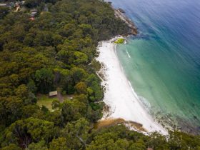 Aerial view of Greenfield Beach picnic area, Greenfield Beach and surrounding bushland. Photo