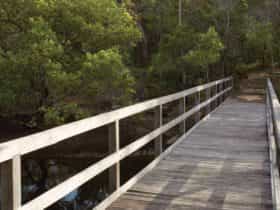 Gummingurrah walking track, Bundjalung National Park. Photo: Rob Cleary/NSW Government