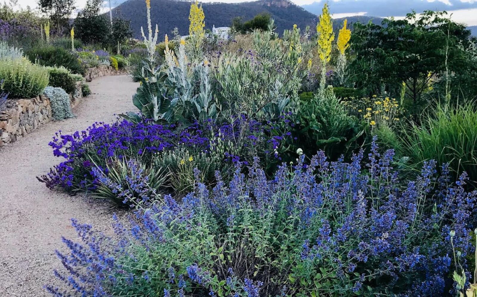 An outstanding garden full of many rare and unusual plants. Stunning view of the Blue Mountains