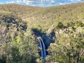 View of Horton Falls surrounded by bushland, in Horton Falls National Park. Photo: Lauren Sparrow