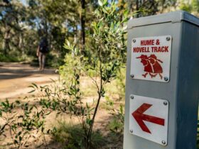 Hume and Hovell Track Marker