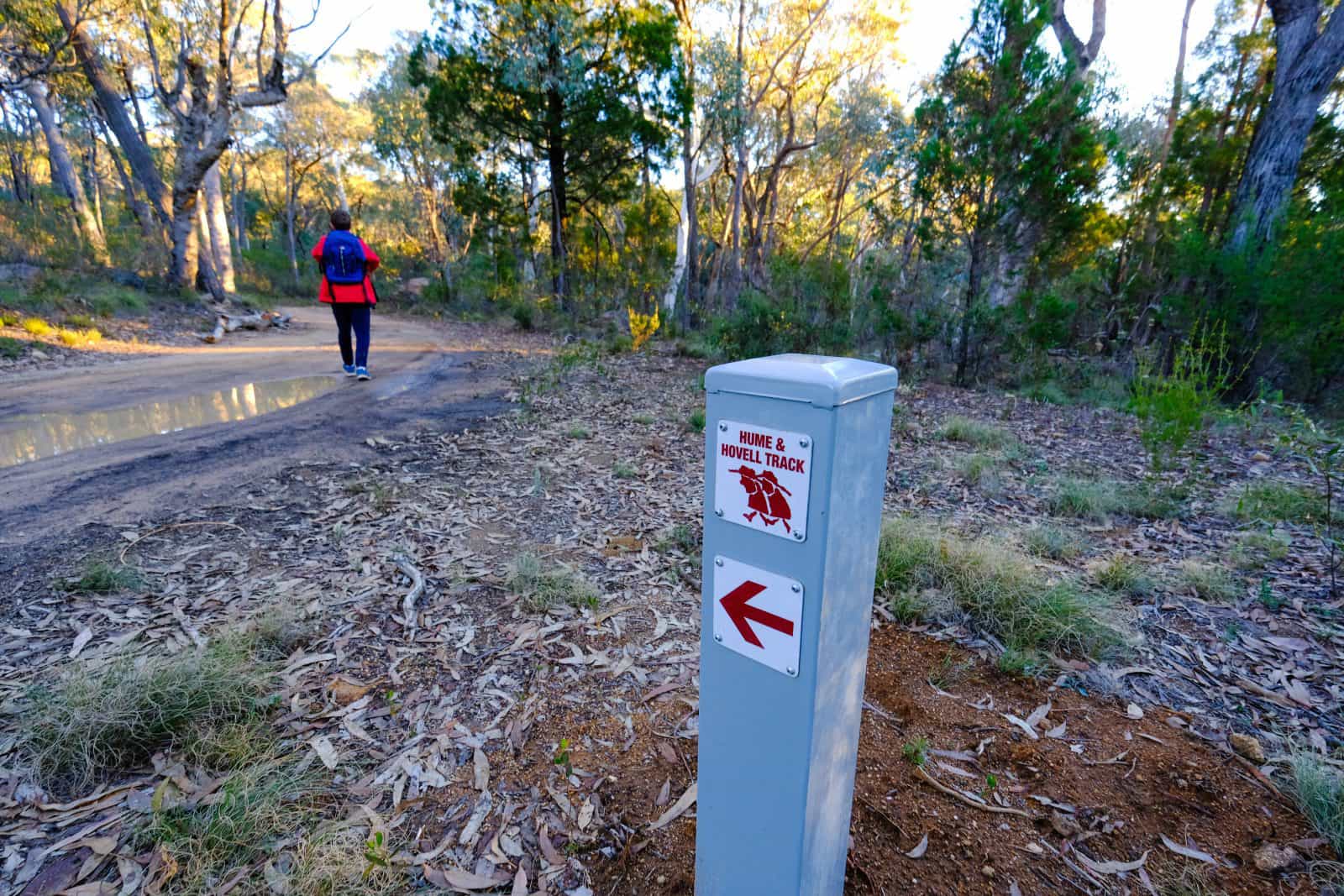 Hume and Hovell Track