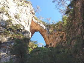 Jenolan Caves Bushwalks