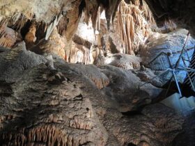 Jersey Cave at Yarrangobily Caves in Kosciuszko National Park. Photo: Elinor Sheargold © OEH