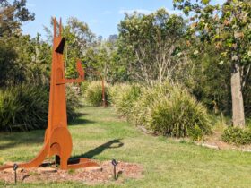 Kangaroo and Honeyeater Bronze Sculpture by Jimmy Rix