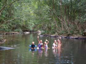 Swimmers in Upsalls Creek, Swans Corssing in Kerewong State Forest