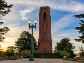 The Bathurst War Memorial Carillon and Historic Street Lamp in the sunset on Kings Parade