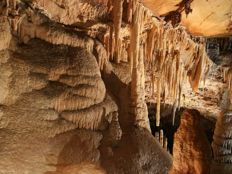 Impressive stalactites and stalagmites in Kooringa Cave. Credit: Stephen Babka/DPE © Stephen