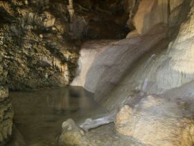 A pool of water surrounded by unique cave formations in Kooringa Cave. Credit: Stephen Babka/DPE