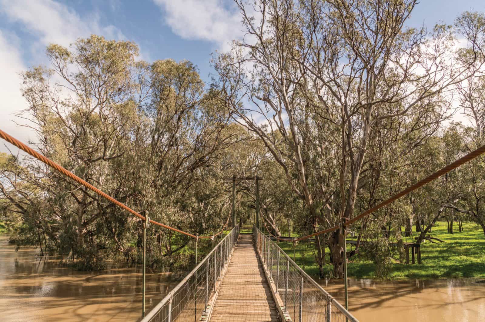 Swing Bridge over the Lachlan River in Hughie Cameron Park, Hillston