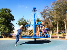 Livvi's Place Playground