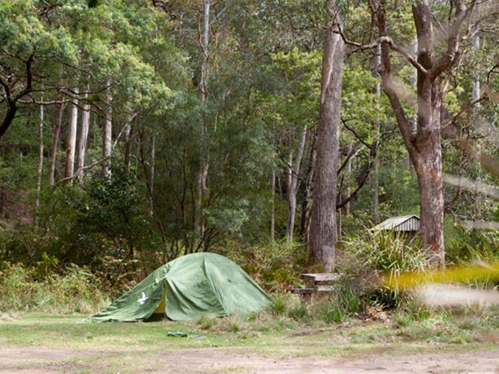 Long Gully picnic area pitch, Budawang National Park. Photo: Lucas Boyd © OEH