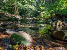 A rocky creek in Macquarie Pass National Park. Photo: John Spencer © DPIE