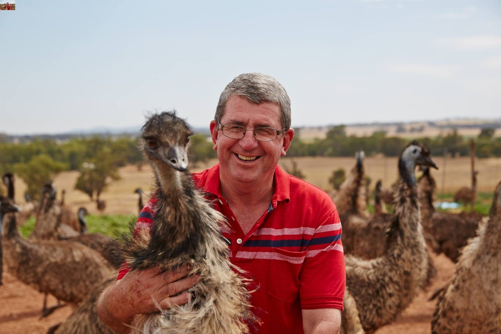 Man and Emu