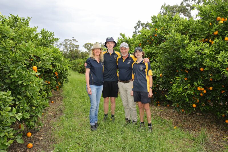 Three males and and one female standing together with orange trees in the background