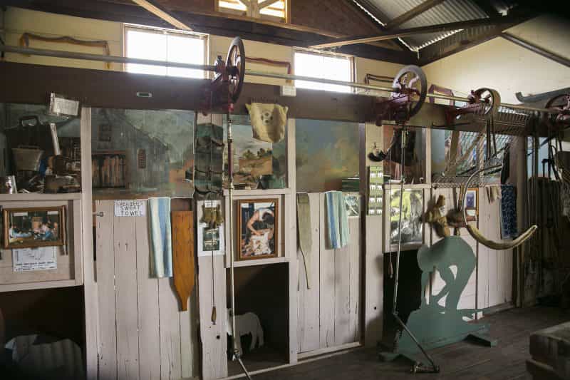 See the repplica shearing stand and chute at the museum