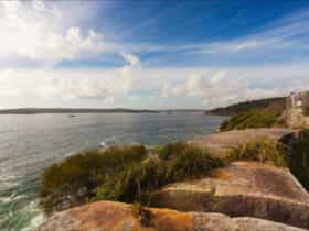 Middle Head