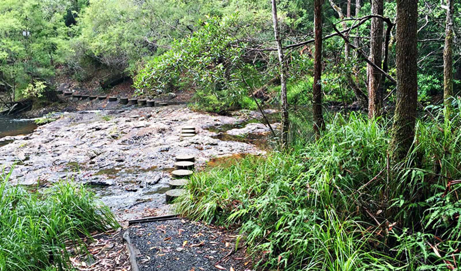 Stepping stones across the creek on Minyon Falls walking track. Photo: OEH/Natasha Webb