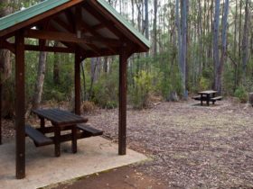 Mongarlowe River picnic area shelters, Monga National Park. Photo: Lucas Boyd © DPIE