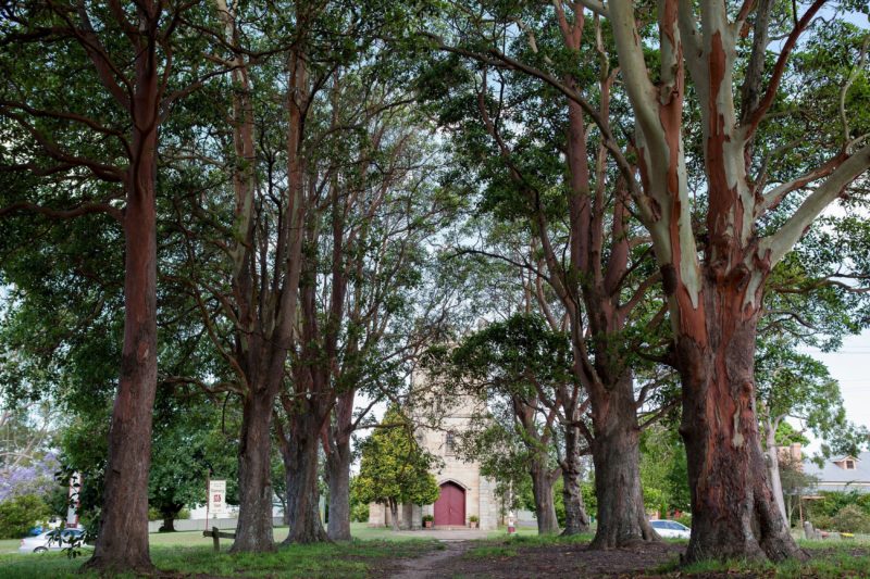 St James Church, looking through The Avenue of Trees