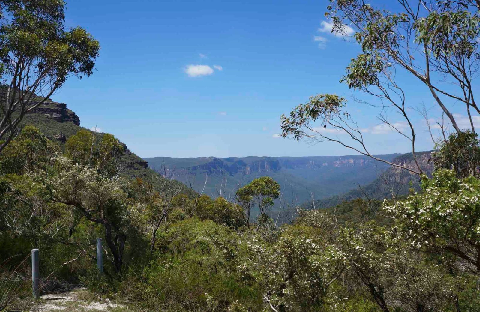 Mount Banks Road Cycling Route, Blue Mountains National Park. Photo: Steve Alton/NSW Government