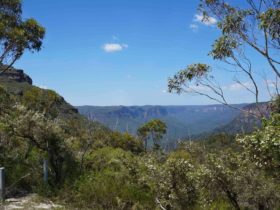 Mount Banks Road Cycling Route, Blue Mountains National Park. Photo: Steve Alton/NSW Government