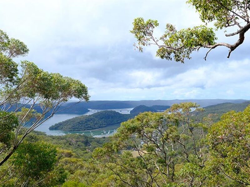 View of Brooklyn and the Hawkesbury River from JD Tipper lookout. Photo: Elinor Sheargold/OEH