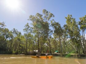 Paddlers pass by Swifts Creek campground, Murray Valley National Park. Photo: B Ferguson/OEH