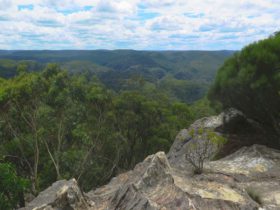 From Du Faurs lookout, view over rock ledge to forest-clad ridges and valleys of the Wollangambe and