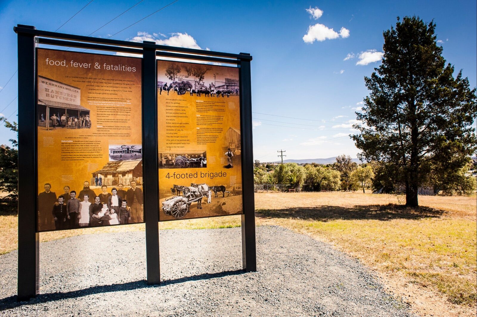 Interpretive signage at O'Brien's Hill Grenfell