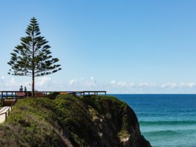 One Tree Point Lookout