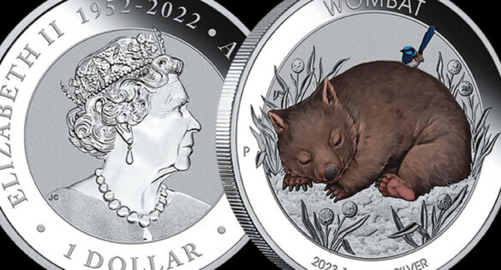 Wombat coin released by the Perth Mint