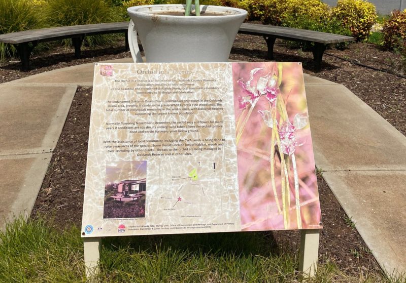 An information board with text sits at the base of an orchid in a teacup sculpture.